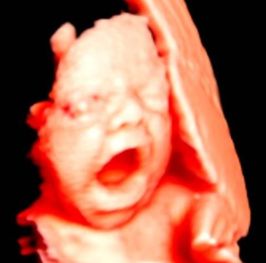 PHOTO-2025-05-29-13-28-12