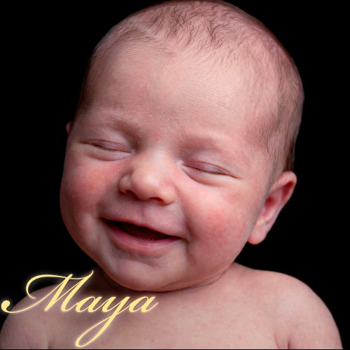 Maya 8K